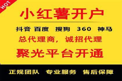 百度竞价赚钱的实战案例分析
